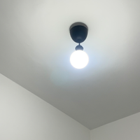 Lampadario a sospensione
