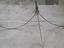 Immagine 5