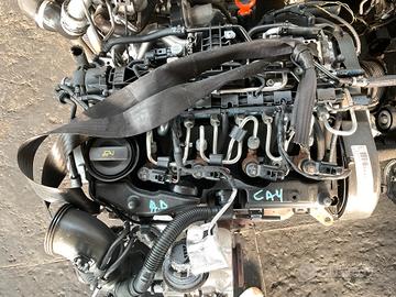 MOTORE CAY 1.6 VW POLO 6R