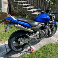 Honda hornet
