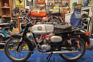Benelli 50 America 4v