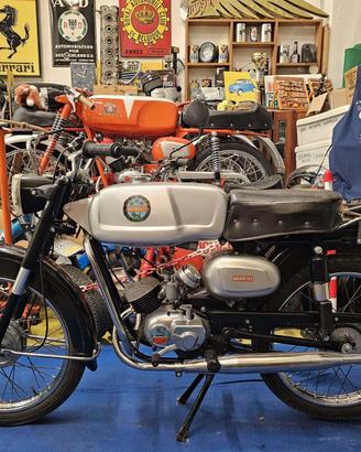 Benelli 50 America 4v