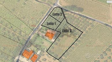 Terreno Edificabile - Miglianico