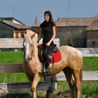 Cavalla doppio pony incrocio Quarter