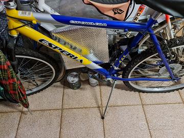 Mountain bike 23 pollici