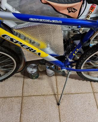 Mountain bike 23 pollici