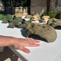 Accessori per terrario - Acquario