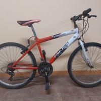 Bici Mountain bike