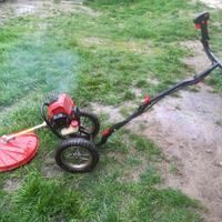 Decespugliatore a manubrio.