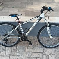 MTB Carraro