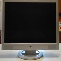 MONITOR HP 19 Pollici