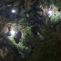 Lampadine LED per luminarie