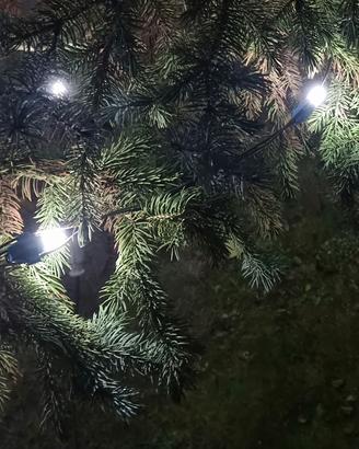 Lampadine LED per luminarie