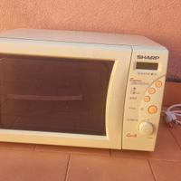 fornetto microonde R-633