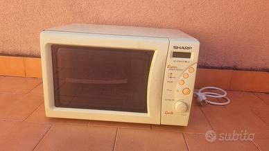 fornetto microonde R-633