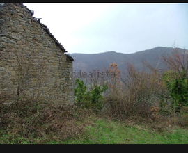 Terreno immerso nel verde