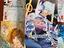 Immagine 1