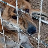 Mattia bellezza unica