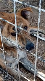 Mattia bellezza unica