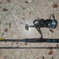 canna Daiwa legalis squid 