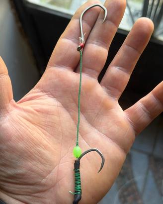 Travi traina al dentice