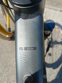 Bici elettrica Riverside 520 E