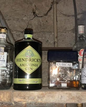 10 bottiglie vuote Gin/altro (tappo originale)