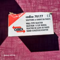 selettore chiave da parete per cancelli