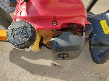 TAGLIA SIEPE A MOTORE