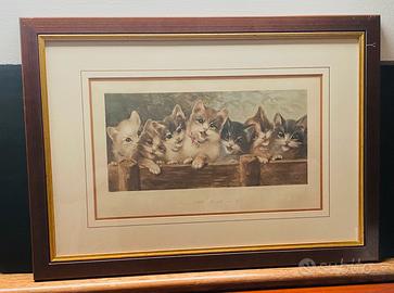 Stampe antiche gatti cani