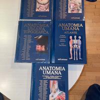 Libri Anastasi Anatomia