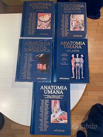 Libri Anastasi Anatomia