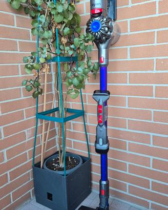Dyson V8 Absolute