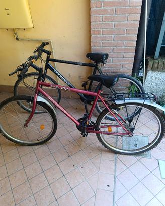 biciclette 