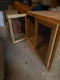 Trasportino per cani