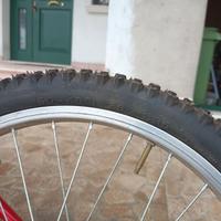 Bicicletta per bambini