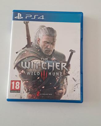 the witcher 3 