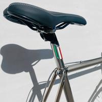 Bici corsa vintage moser /campagnolo
