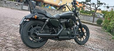 Harley Davidson 883 Iron