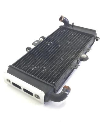 YAMAHA FZS FAZER 600 RADIATORE ACQUA LIQUIDO RAFFR