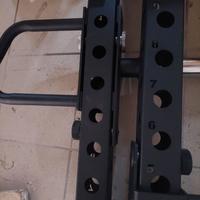 Power arms lacertosus