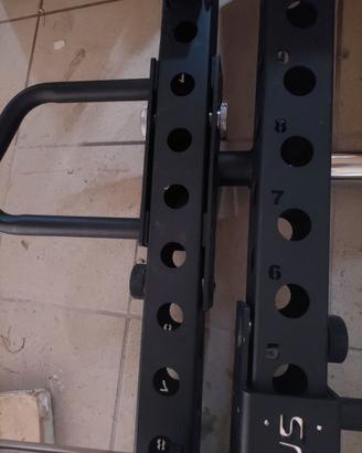 Power arms lacertosus