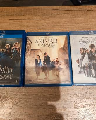 Lotto Harry Potter + Animali Fantastici Bluray