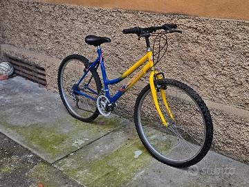 Bicicletta da uomo