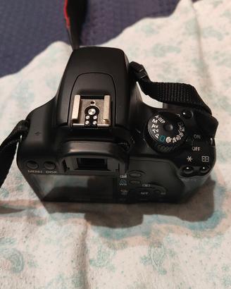 Canon 1000d + Tamron 18-200