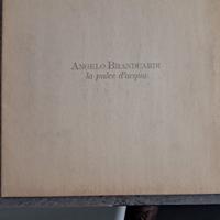 ANGELO BRANDUARDI La pulce d'acqua LP 33 giri
