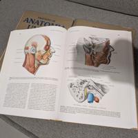 Anastasi Anatomia Umana Ediermes