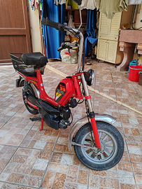 Mini Califfo 50cc