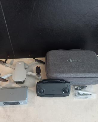 Dji mini SE