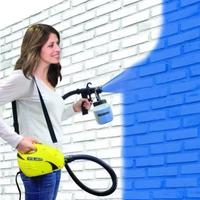 combo TOTAL PAINTER 900W +PALO PROLUNGA EXTENSION